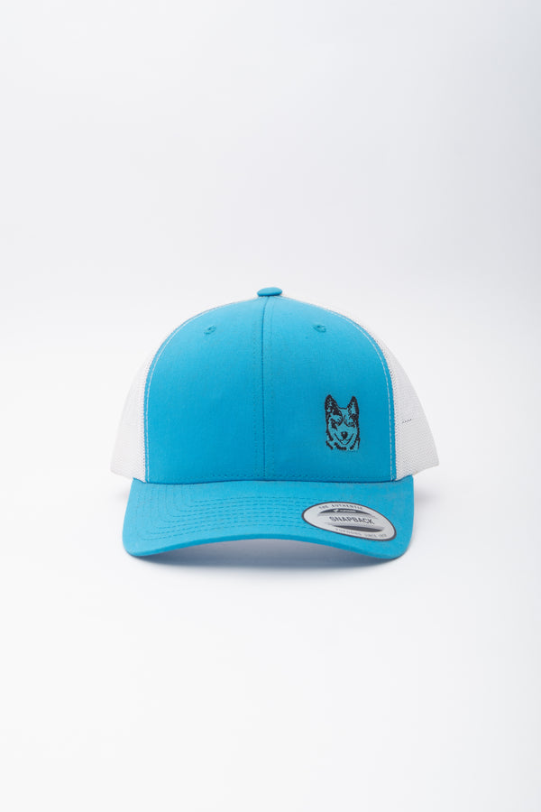 GORRA IMPORTADA AZUL MALLA BLANCA